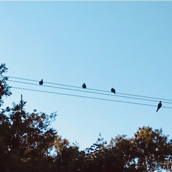 meet me - Picture 14 of 16